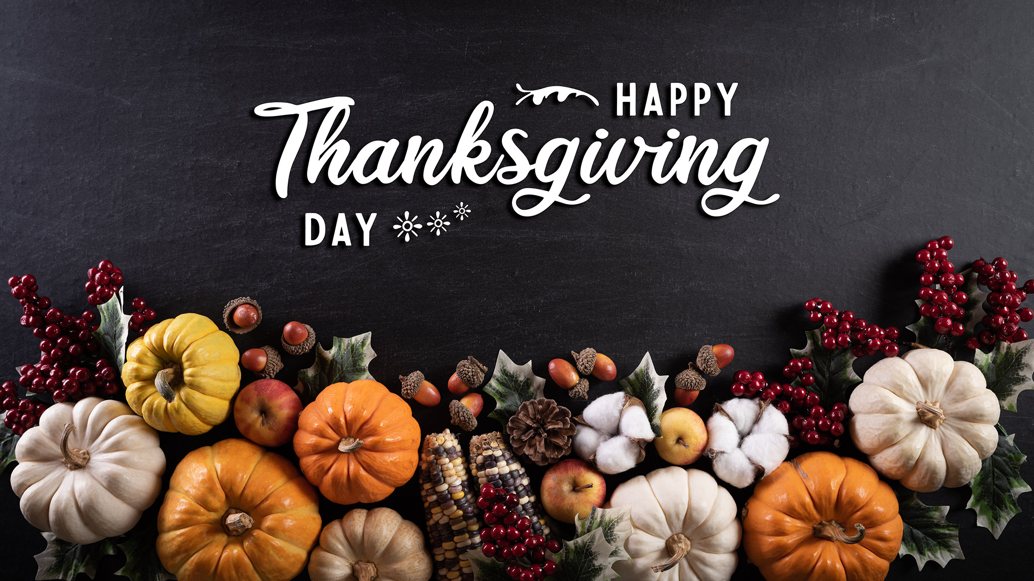 Happy Thanksgiving