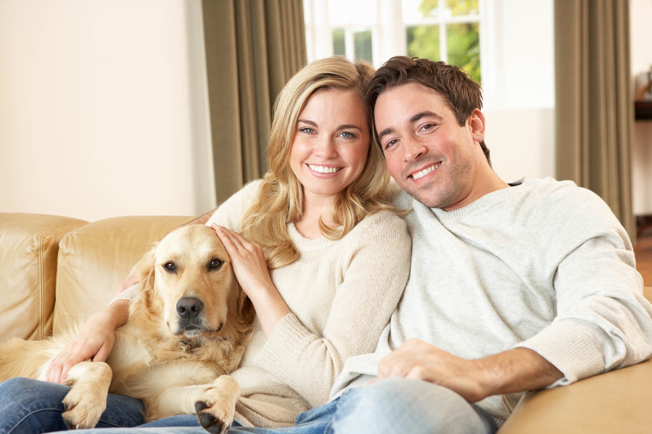 Cracked Tooth? Learn How to Treat It Fast and Effectively Kitchener Dentist Fairway Dental